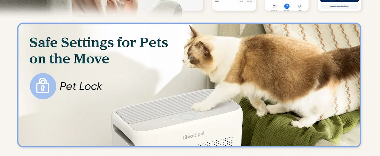 Safe Settings for Pets on the Move