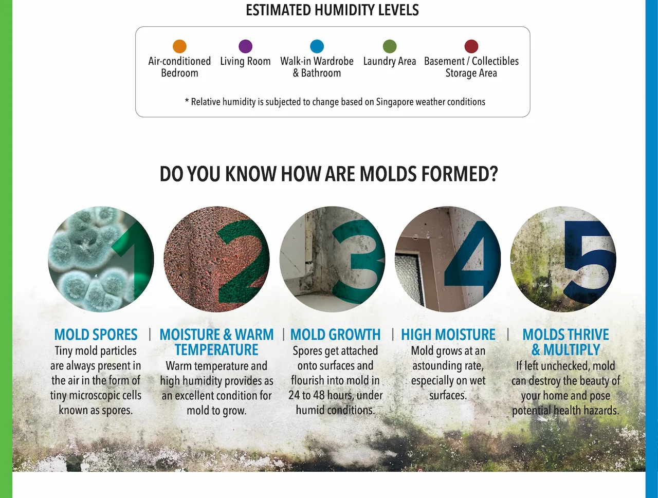 ESTIMATED HUMIDITY LEVELS