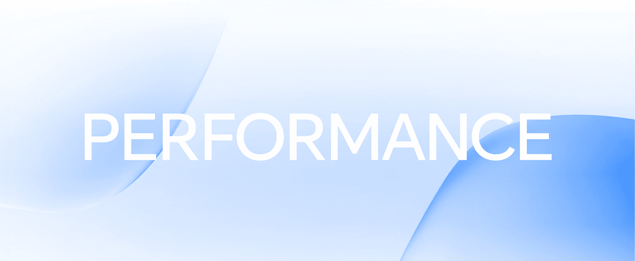 PERFORMANCE