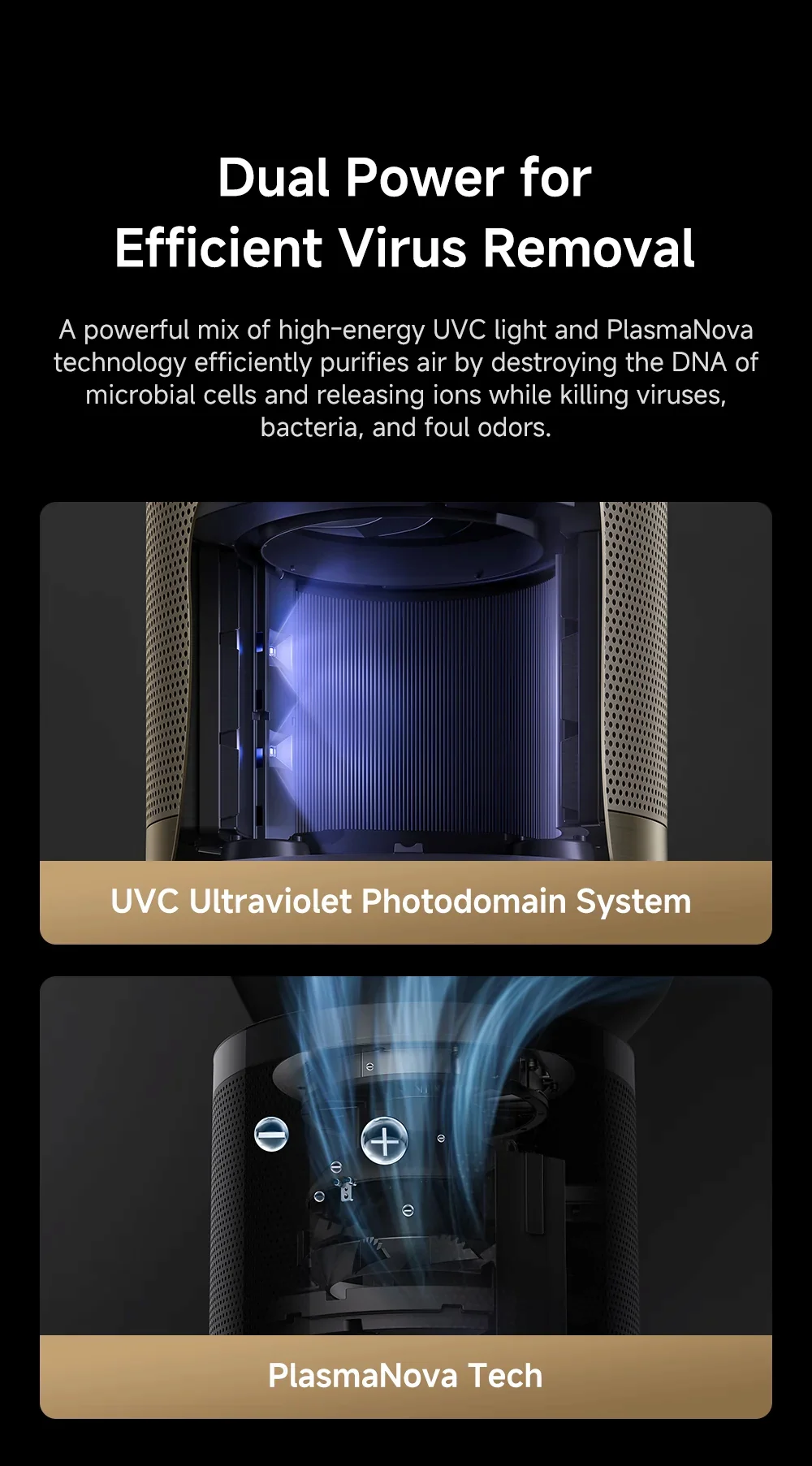 Dual Power for Efficient Virus Removal