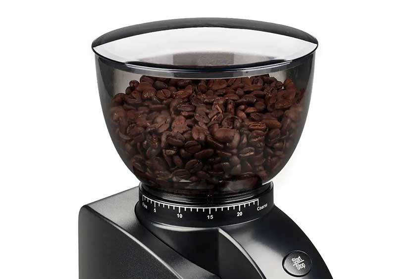 Large Bean Container